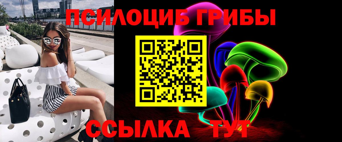 Псилоцибиновые грибы мицелий Кемерово